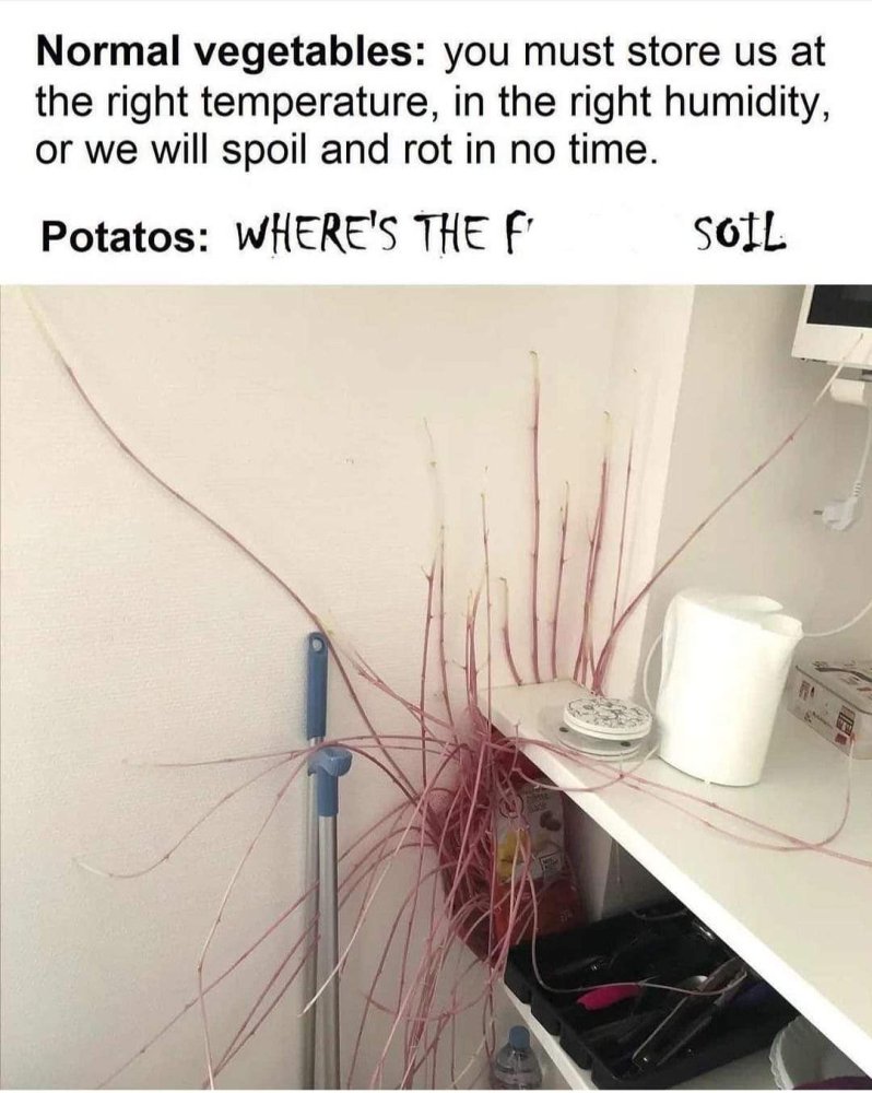 FB_IMG_1694783865946.jpg