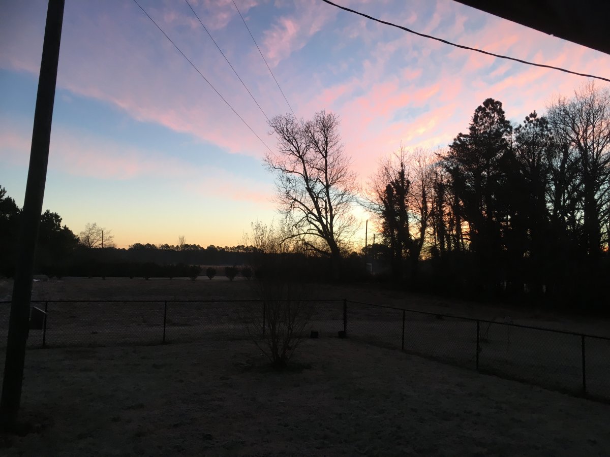 FCC2C7E1-AAC6-4DDC-A81E-573E244979F6.jpeg