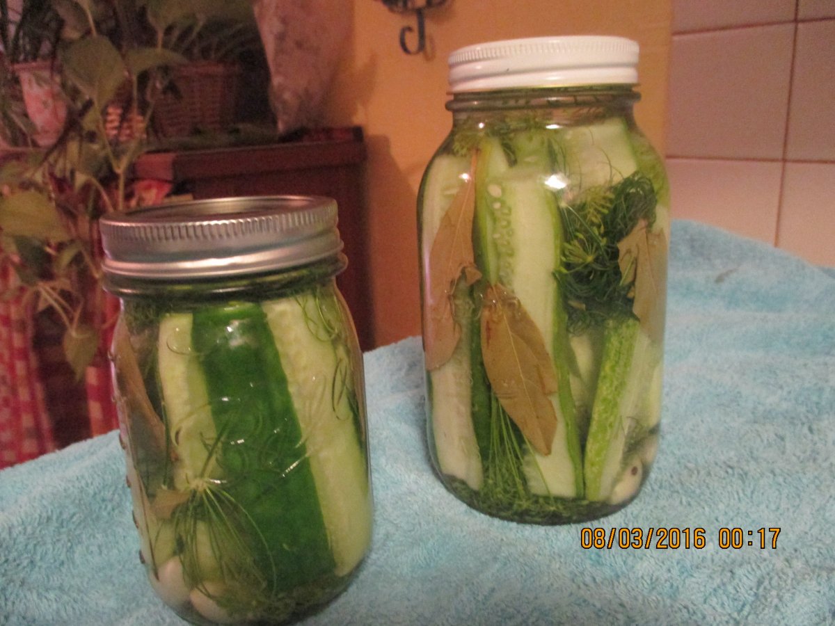 Fermented dill pickles.JPG