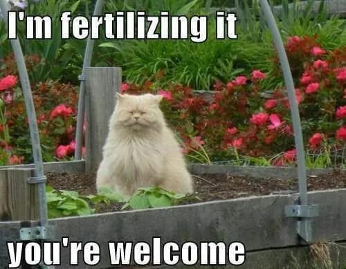 fertilizingit.jpg