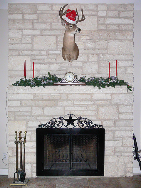 Fireplace.jpg