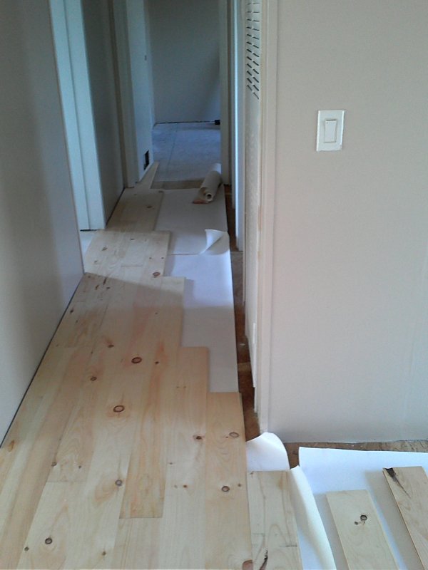 Floor hall staggered.jpg