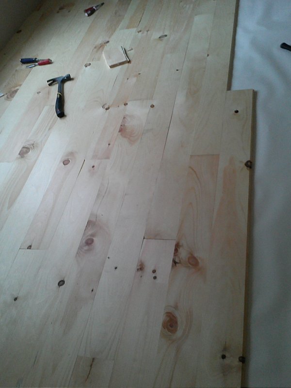 Floor.jpg