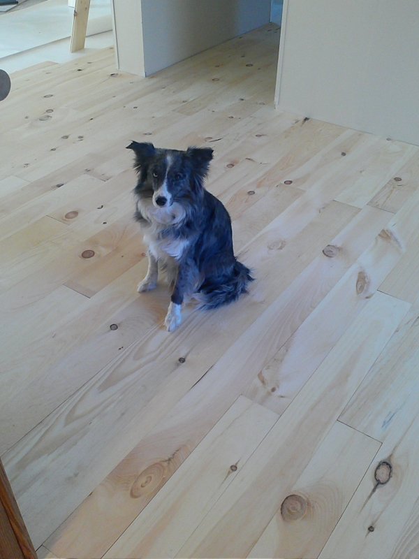 Floor Polly.jpg