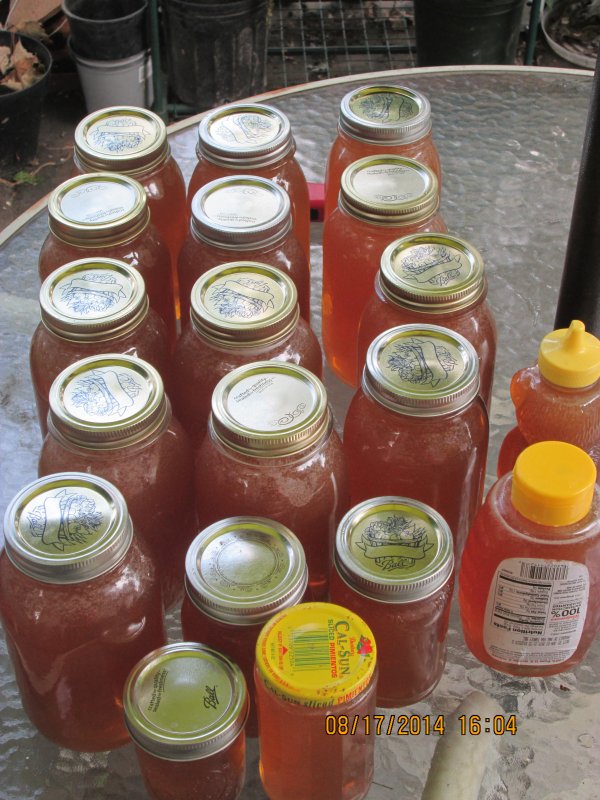 Florida and honey! 144.JPG