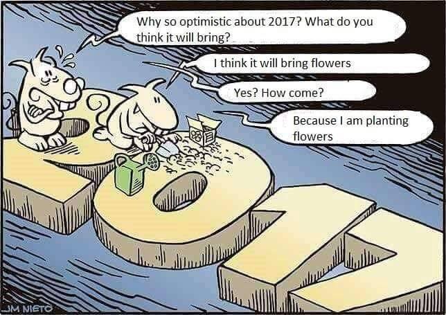 flowers 2017.jpeg