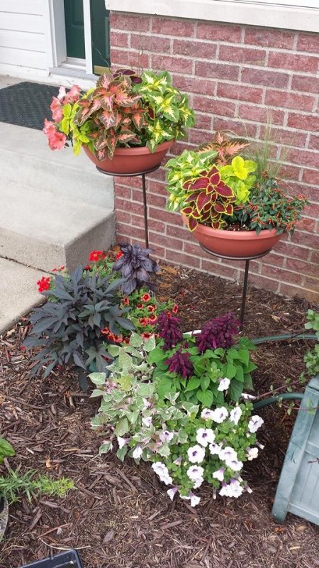 flowers.jpg