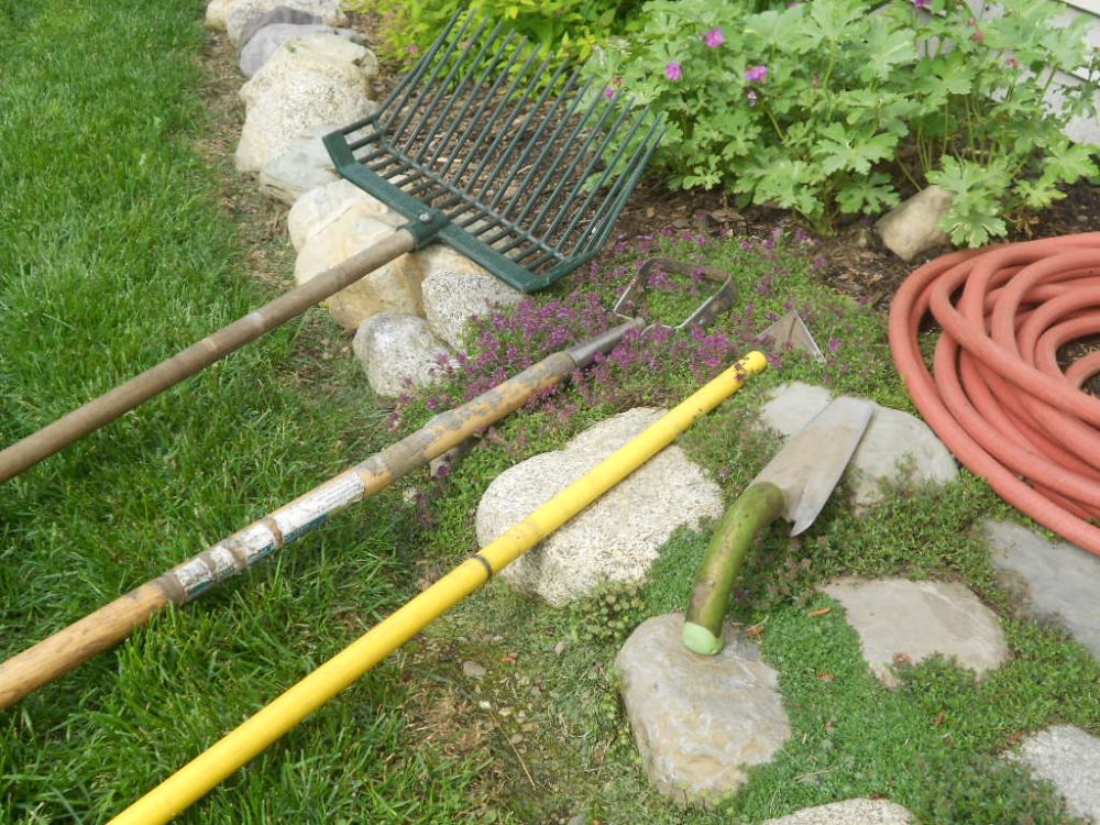 foliage tools chicken on eagle 011.JPG