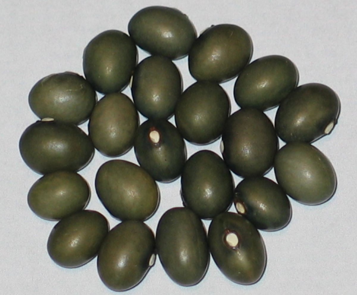 Fort Portal Jade.jpg