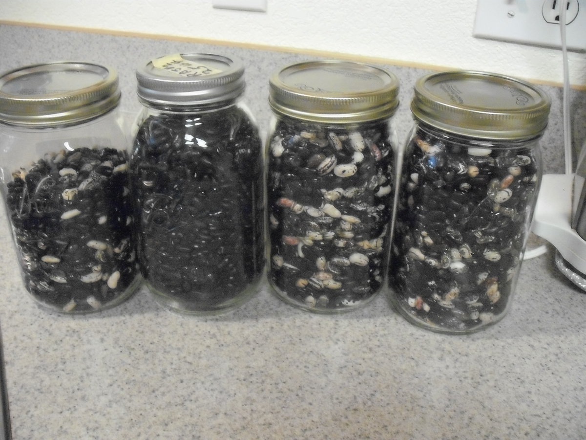 Four Quarts.JPG