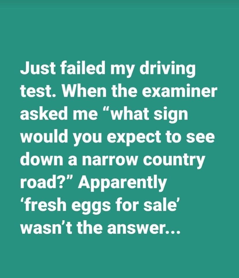 fresh eggs for sale.jpg