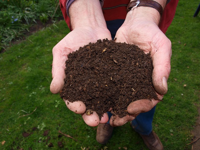 Compost Compost