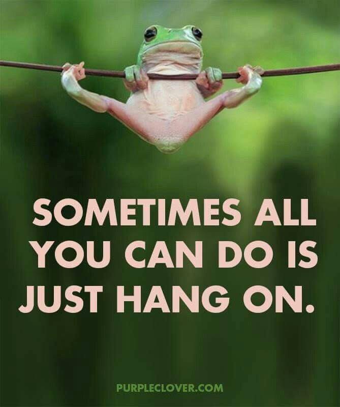 frog hang in there.jpg