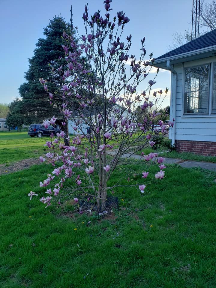 Front walk, #3.jpg