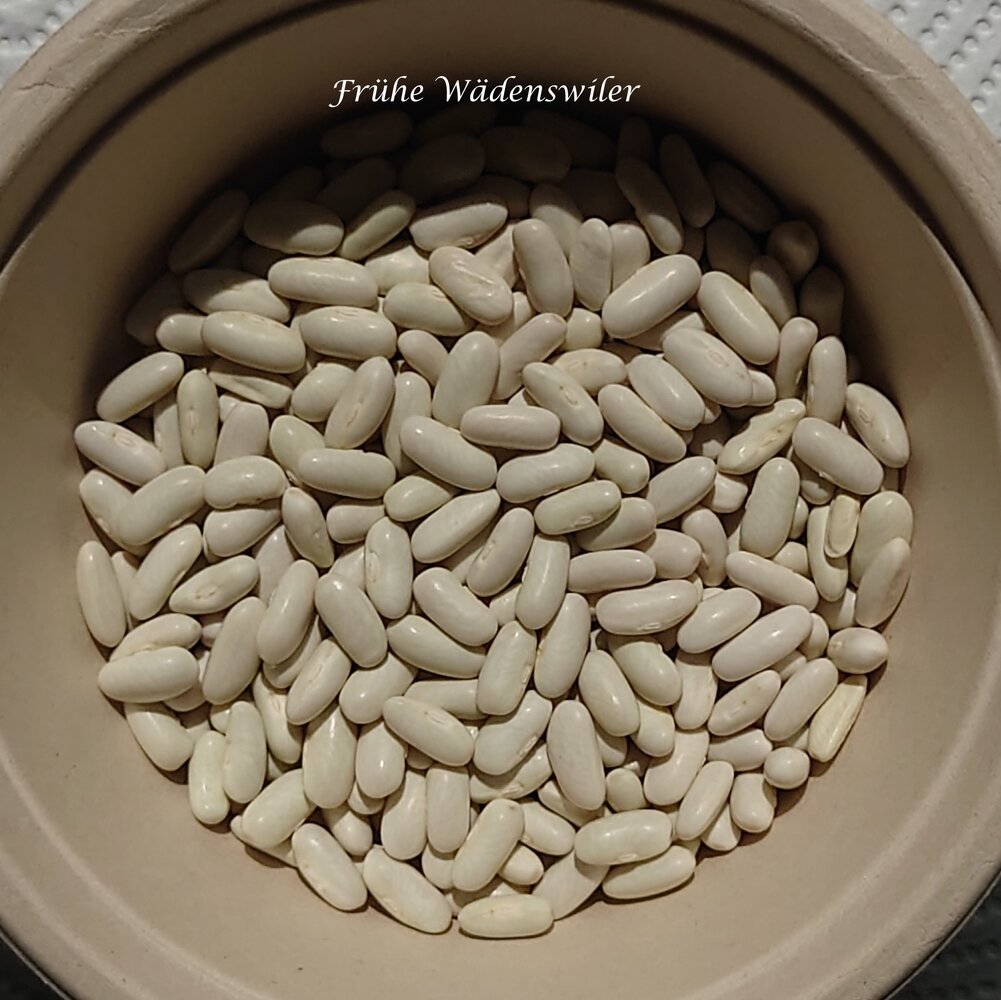 Fruehe_Waedenswiler_2025_b_DSC_8201~2.jpg