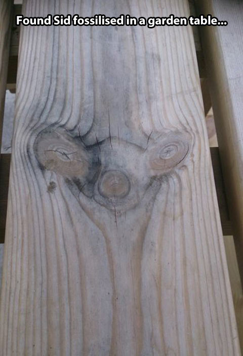 funny-Sid-Ice-Age-garden-table.jpg