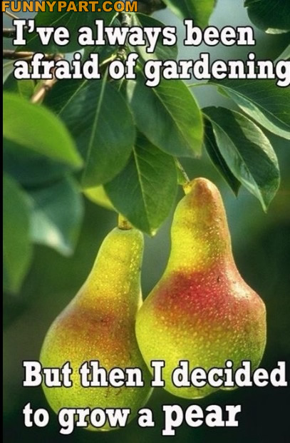 FunnyPart-com-gardening_pun.jpg