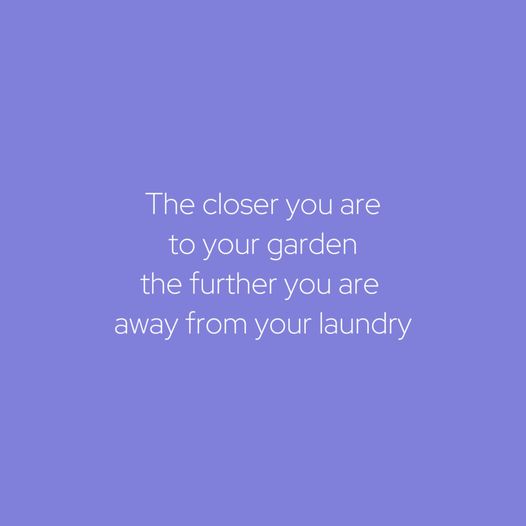 gaeden laundry.jpg