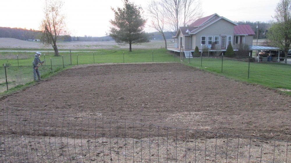 Garden 2014-2015 005.JPG