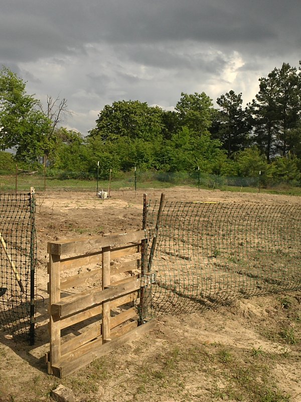 Garden 4-12-15.jpg