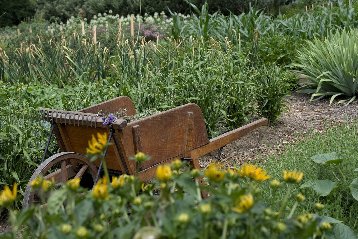 garden-7028181_1280.jpg