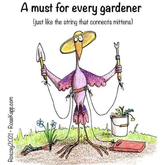 garden aid.jpg