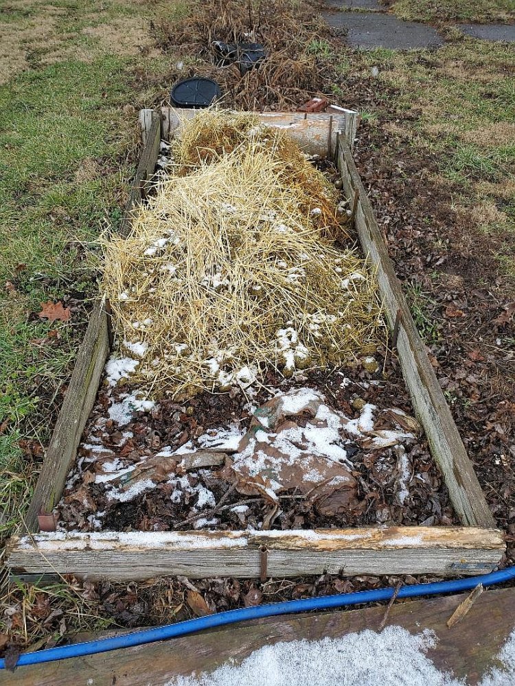 Garden bed, 3' x 6', 2nd amendment, 01-21-23.jpg