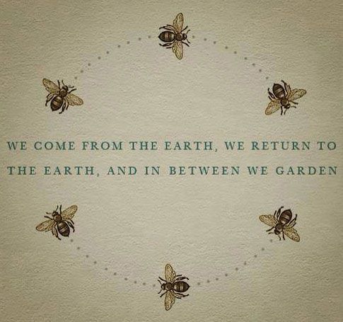garden bees.jpg