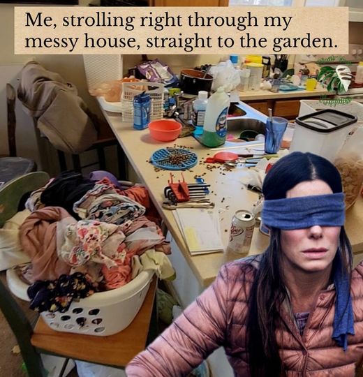garden blind.jpg