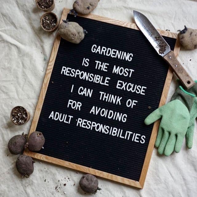 garden excuse.jpg