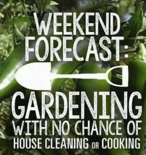 garden forcast.jpg