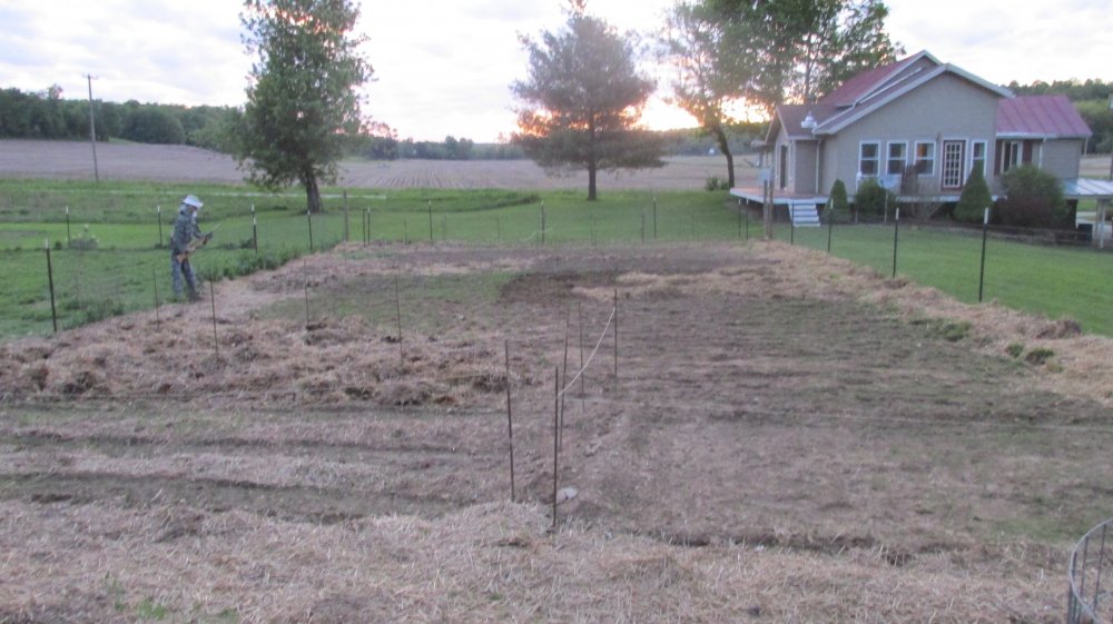 Garden Forum Pics 011.JPG