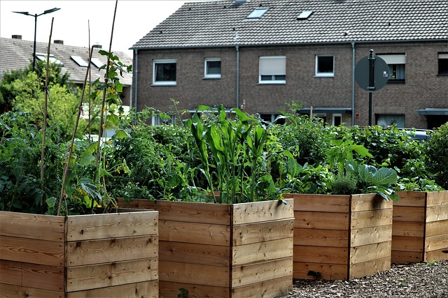 Raised Bed Gardening