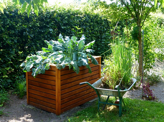 Raised Bed Gardening