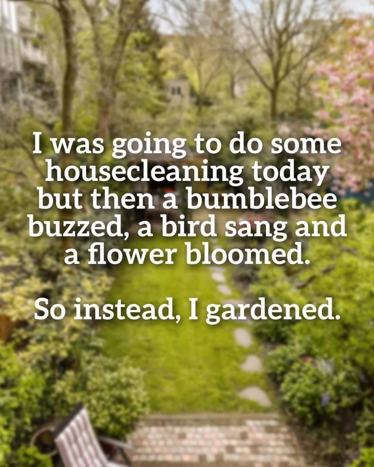 garden instead.jpg