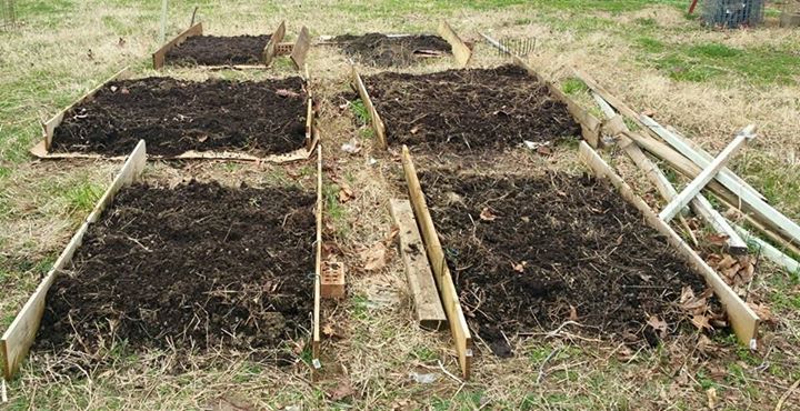 garden.jpg
