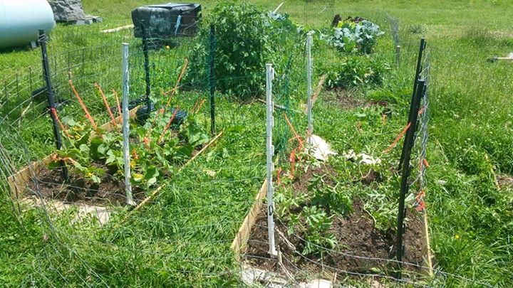 garden.jpg