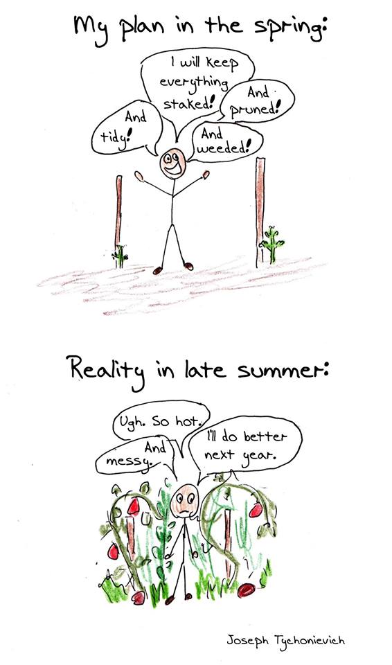 garden mess.jpg