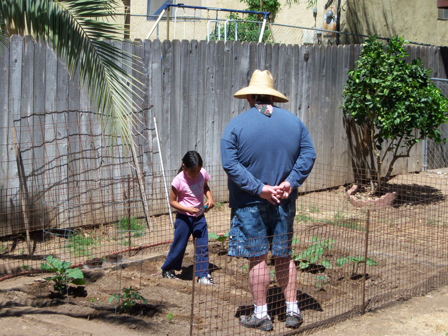 garden seedlings.jpeg