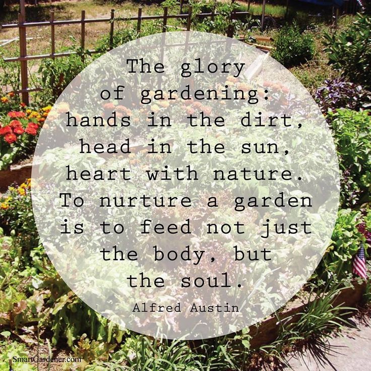 garden soul.jpg