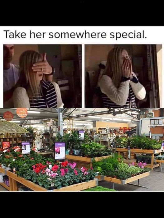 garden special.jpg