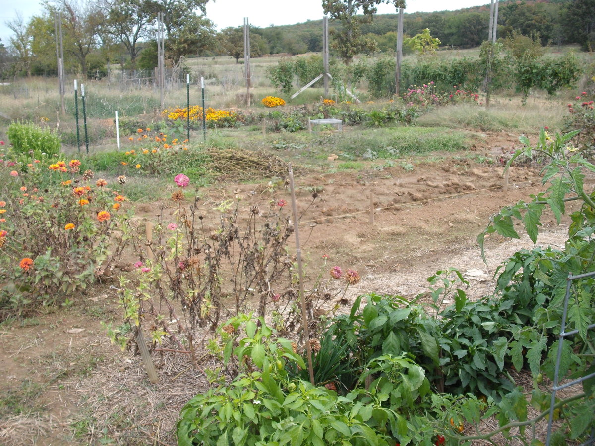 Garden SW.JPG