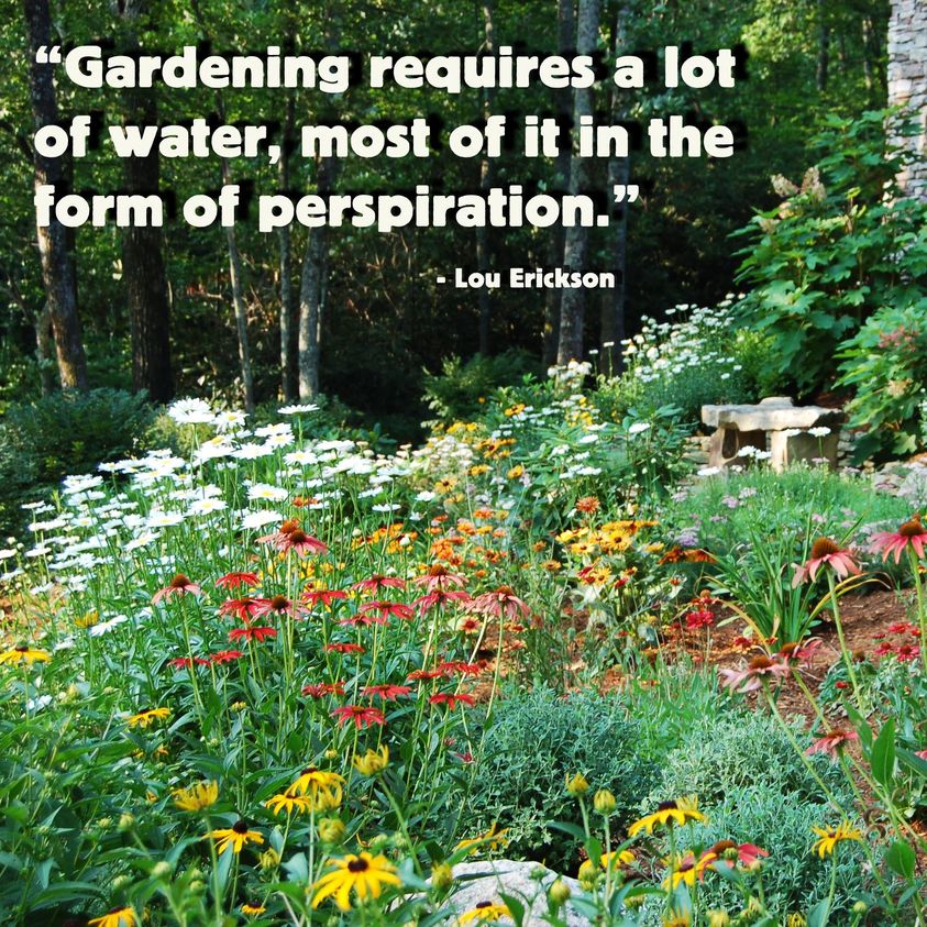 garden sweat.jpg