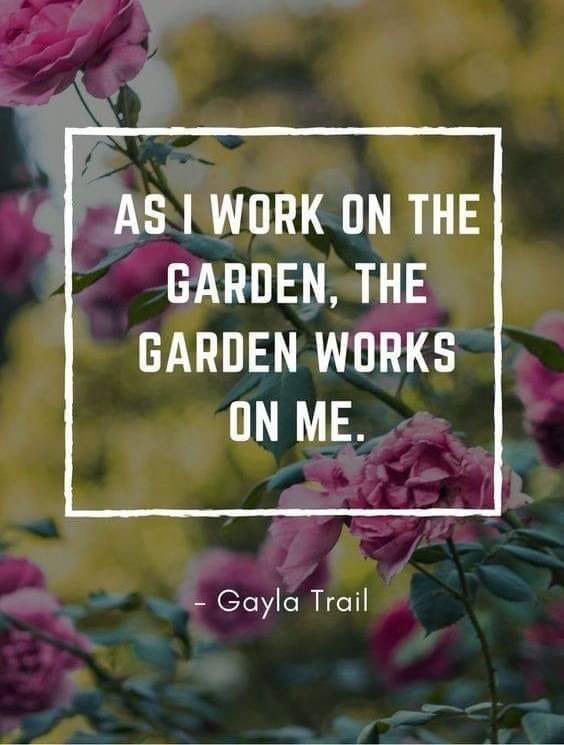garden work.jpg