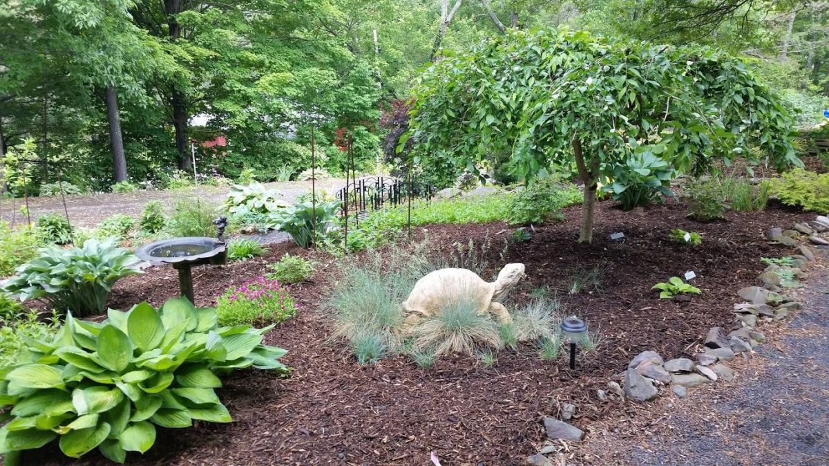 garden1.jpg