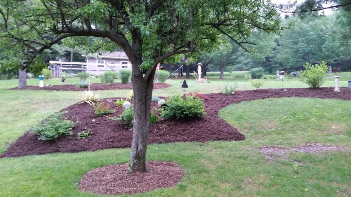 garden2.jpg