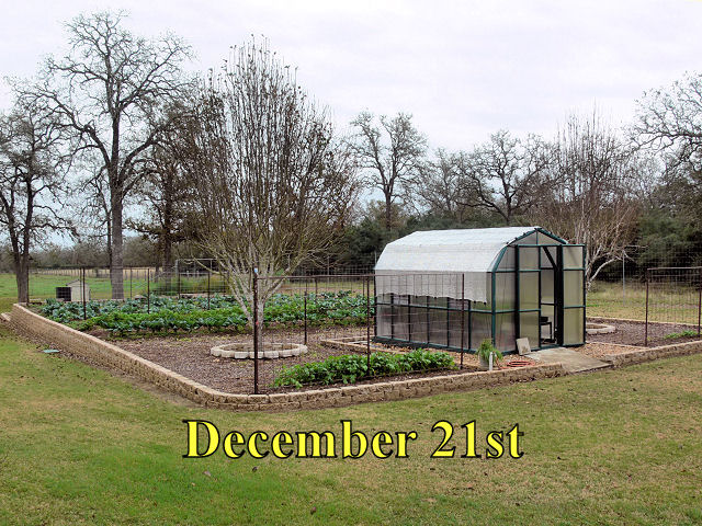 Garden2_122116.jpg