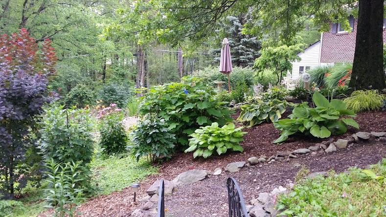 garden3.jpg