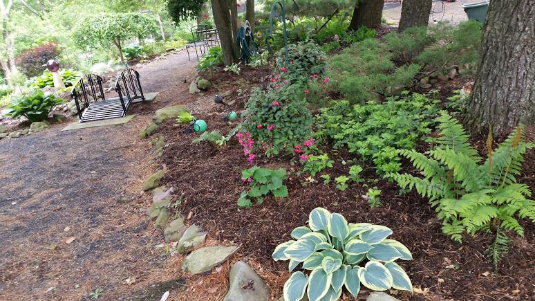 garden4.jpg
