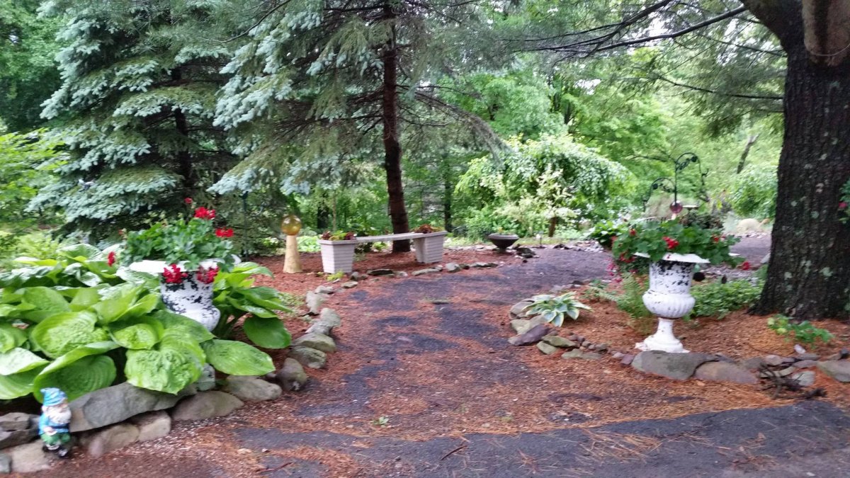 garden7.jpg